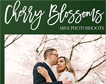 Cherry Blossoms Mini Photo Sessions 2021