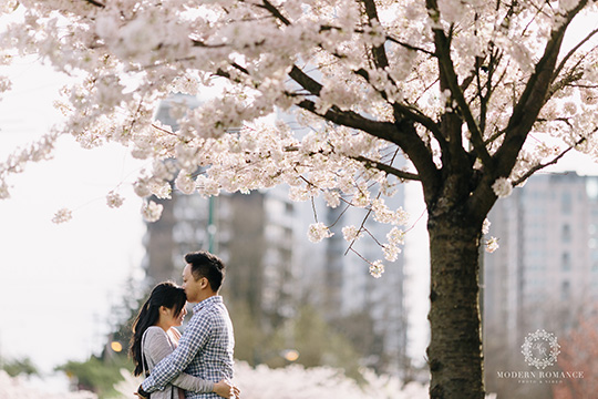 Best Location to take Cherry Blossoms Photos in GVR